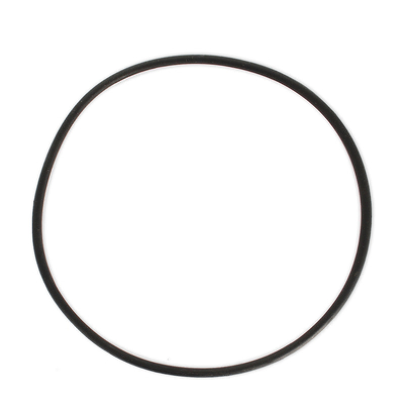 SIGILLANT PENTRU VASO NEPARDOSEAL LAGOSTINA 9 LITRI UNIVERSAL