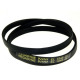 BELT MEGADYNE J STEP 5 EPJ 1245 FOR HOUSEHOLD APPLIANCES UNIVERSAL