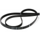 MEGADYNE J BELT STEP 5 EPJ 1173 FOR HOUSEHOLD APPLIANCES UNIVERSAL