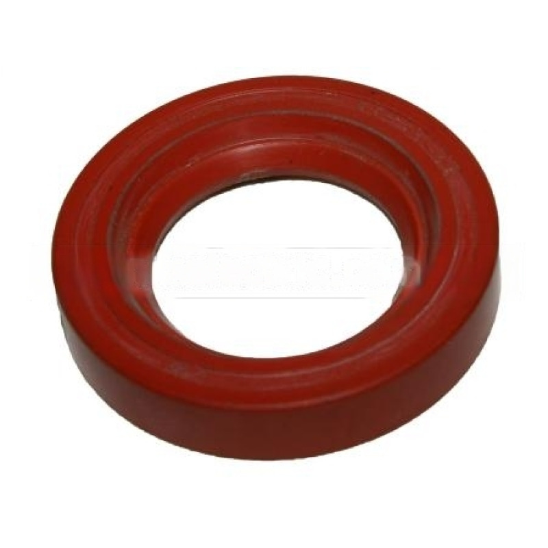 DICHTUNG 35 x 55 x 10 MM FÜR PUMPENDICHTUNGSRING FÜR SANGIORGIO WASCHMASCHINE