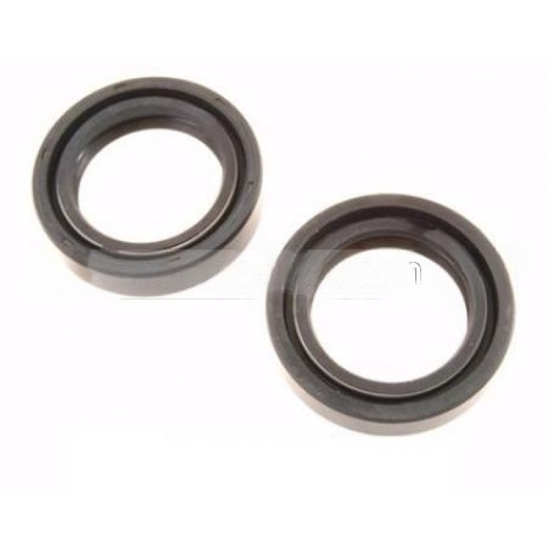 DICHTUNG 35 x 52 x 12 MM MIT 2 FEDERN / DICHTUNGEN FÜR INDESIT WASCHMASCHINENPUMPE