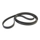 GASKET FOR THE DRUM BODY OF THE WASHING MACHINE ARDO SAMSUNG 402011900