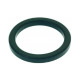 GARNITURA 56x66x5 MM PENTRU MAȘINA DE CAFEA BRASILIA CLUB