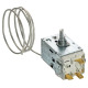 TERMOSTAT PENTRU FRIDER ATEA A13 CU SENSOR 800MM A13 0307, 0000018500