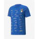 PUMA x FIGC Italy Signature Winner Tee Blue