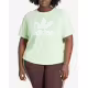 ADIDAS Originals Adicolor Trefoil Boxy Tee Green