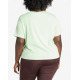 ADIDAS Originals Adicolor Trefoil Boxy Tee Green