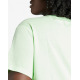 ADIDAS Originals Adicolor Trefoil Boxy Tee Green