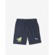 PUMA Fruitmates Shorts Blue