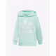 ADIDAS Originals Snap Hoodie Green