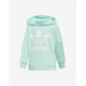 ADIDAS Originals Snap Hoodie Green