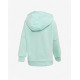 ADIDAS Originals Snap Hoodie Green