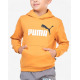 PUMA Essentials+ 2 Color Big Logo Hoodie Orange