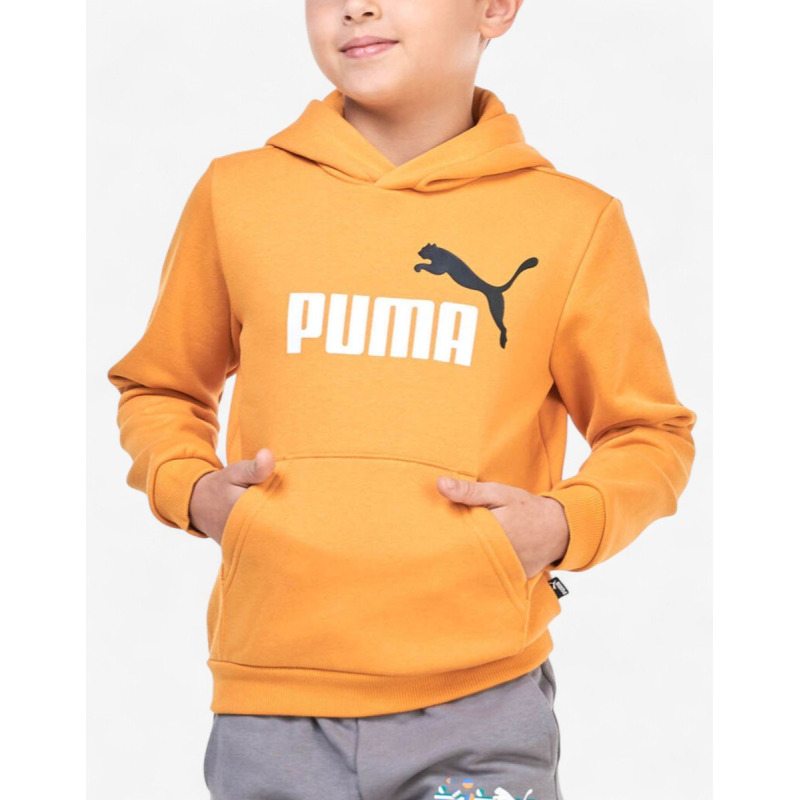 PUMA Essentials+ 2 Color Big Logo Hoodie Orange