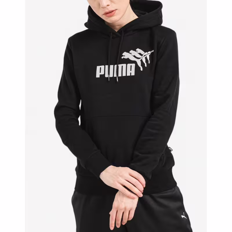 PUMA  Essentials+ Metallic Spark Hoodie Black