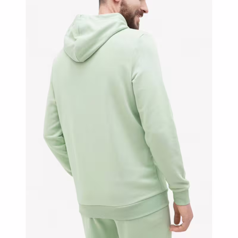 PUMA Essentials+ 2 Color Logo Hoodie Green