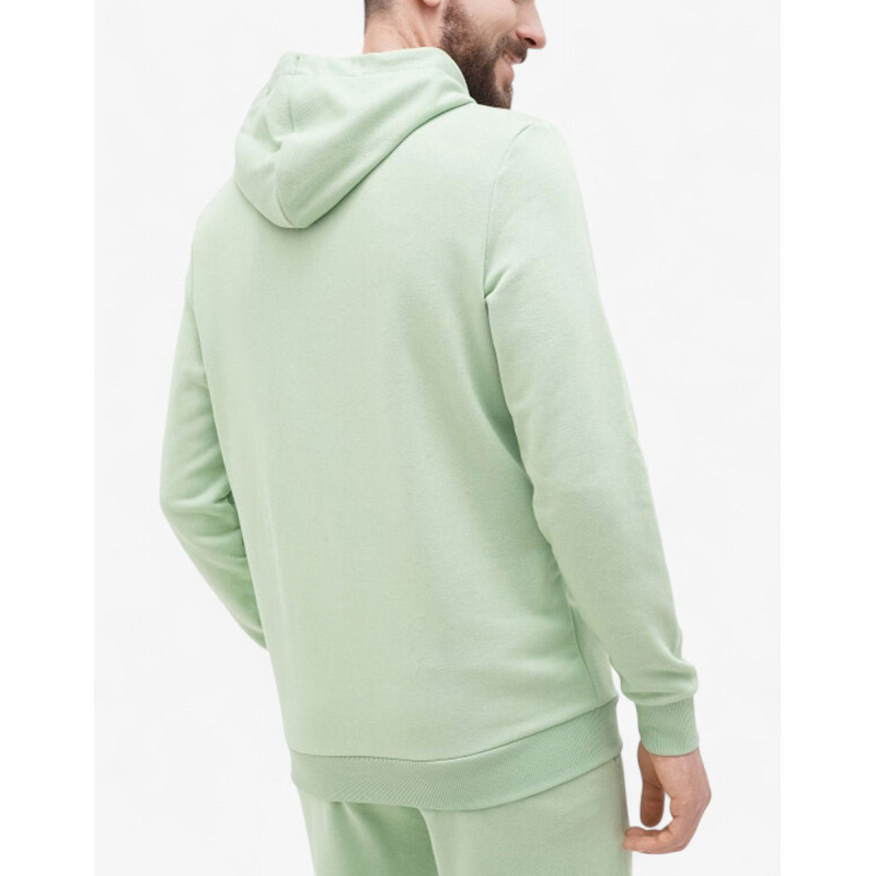 PUMA Essentials+ 2 Color Logo Hoodie Green