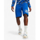 PUMA Essentials+ Palm Resort Sweat Shorts Blue
