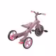 Детска триколка 4 в 1 GLOBBER EXPLORER TRIKE ECOLOGIC, бери