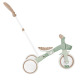 Триколка с родителски контрол 3 в 1 GLOBBER LEARNING TRIKE PLUS, мента
