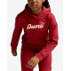 PUMA Essentials+ Script Metallic Hoodie Red