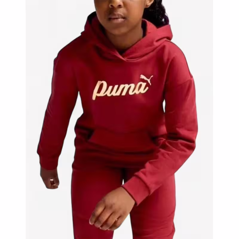PUMA Essentials+ Script Metallic Hoodie Red