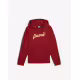 PUMA Essentials+ Script Metallic Hoodie Red