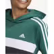 ADIDAS Sportswear Tiberio 3-Stripes Colorblock Fleece Hoodie Green