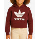 ADIDAS Adicolor Cropped Hoodie Burgundy
