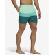ADIDAS Colorblock Swim Shorts Green