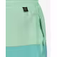 ADIDAS Colorblock Swim Shorts Green