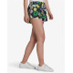 ADIDAS Floral Shorts Multicolor
