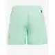 ADIDAS Logo Clx Swim Shorts Green