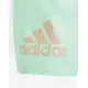 ADIDAS Logo Clx Swim Shorts Green