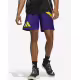 ADIDAS Performance Galaxy Basketball Shorts Multicolor