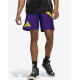 ADIDAS Performance Galaxy Basketball Shorts Multicolor