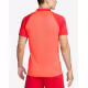 NIKE Academy Pro Short Sleeve Polo Red