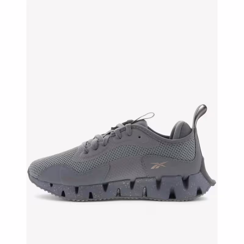 REEBOK Zig Dynamica Shoes Grey