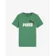 PUMA Essentials+ Two-Tone Logo Tee Green