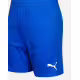 PUMA TeamFINAL 21 Knit Shorts Blue