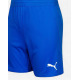 PUMA TeamFINAL 21 Knit Shorts Blue