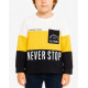 CHICCO Boys Sweatshirt Multicolor