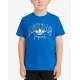 ADIDAS Originals Collegiate Graphic Pack Tee Blue