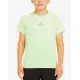 ADIDAS Spotswear Aeroready Tee Green