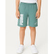 PUMA Power Shorts Green