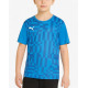 PUMA IndividualRise Graphic Football Tee Blue