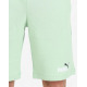 PUMA Essentials+ 2 Color Logo Shorts Green