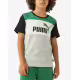PUMA Essentials+ Colorblock Tee Grey/Green
