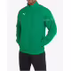 PUMA TeamRise Sideline Jacket Green