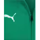 PUMA TeamRise Sideline Jacket Green